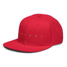 Load image into Gallery viewer, Ajelani Snapback Hat