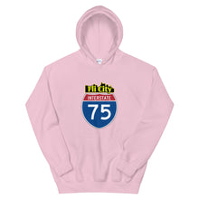Load image into Gallery viewer, Flint city Unisex Hoodie