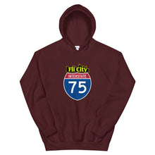 Load image into Gallery viewer, Flint city Unisex Hoodie