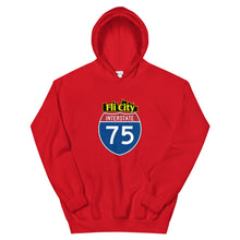 Load image into Gallery viewer, Flint city Unisex Hoodie