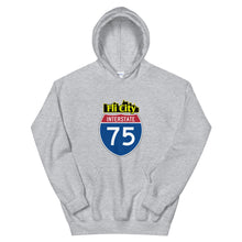 Load image into Gallery viewer, Flint city Unisex Hoodie