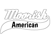 Load image into Gallery viewer, Moorish American Hoodie
