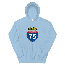 Load image into Gallery viewer, Flint city Unisex Hoodie
