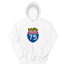 Load image into Gallery viewer, Flint city Unisex Hoodie
