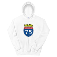 Flint city Unisex Hoodie